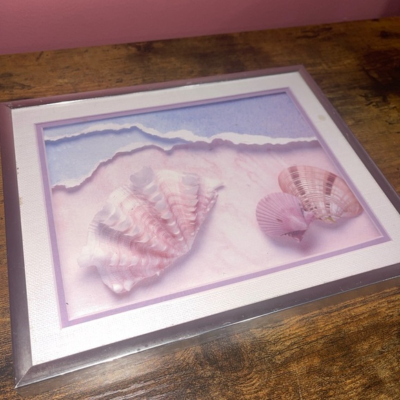 Sea Shell prints frames - Picture 5 of 12